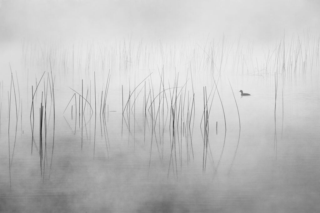 Przybyszowska_Alicja_Quiet_lake