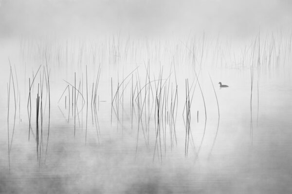 Quiet lake